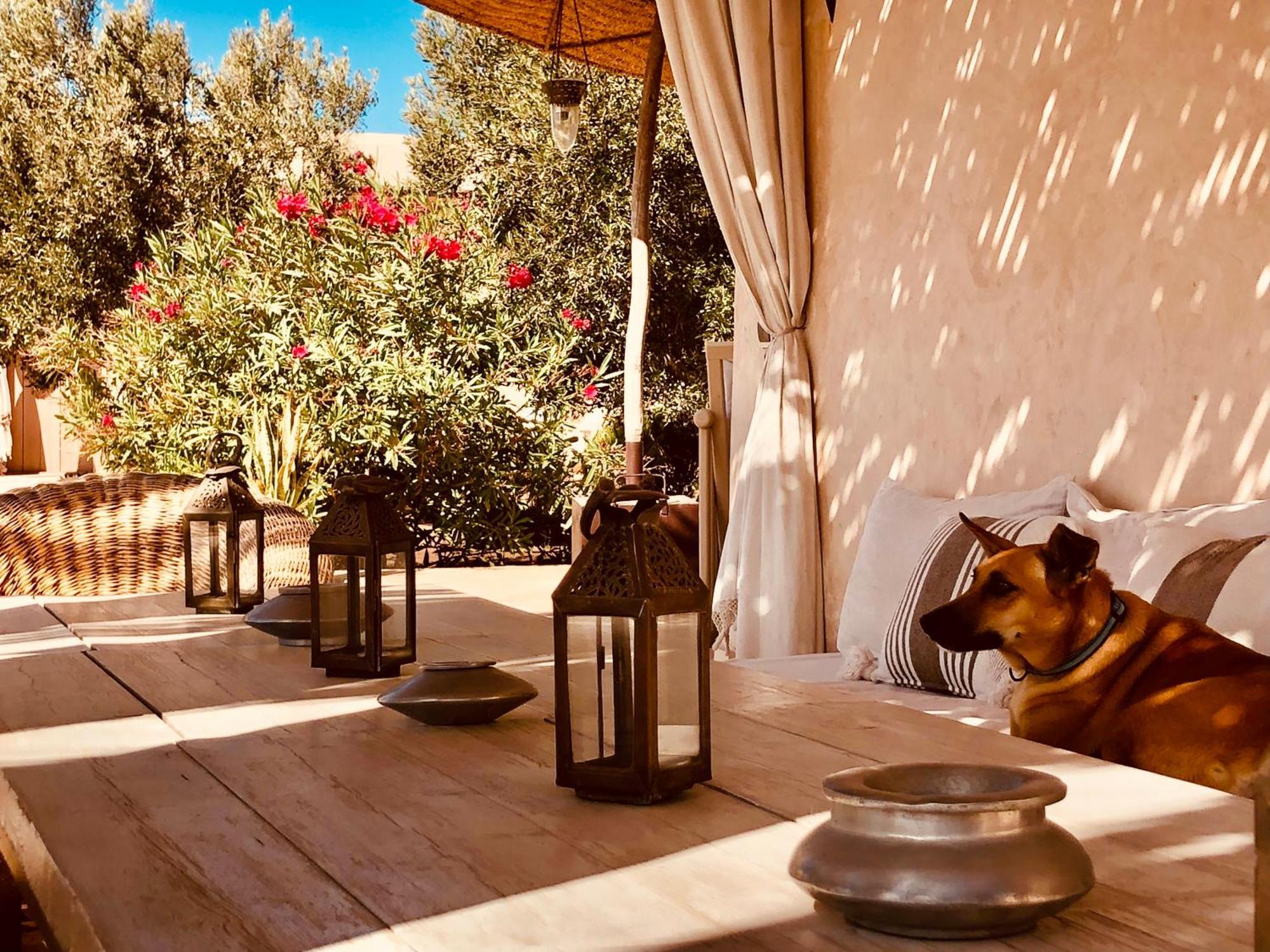 Dar Alya Essaouira Maison Et Table D'Hotes Al Ghar Kültér fotó
