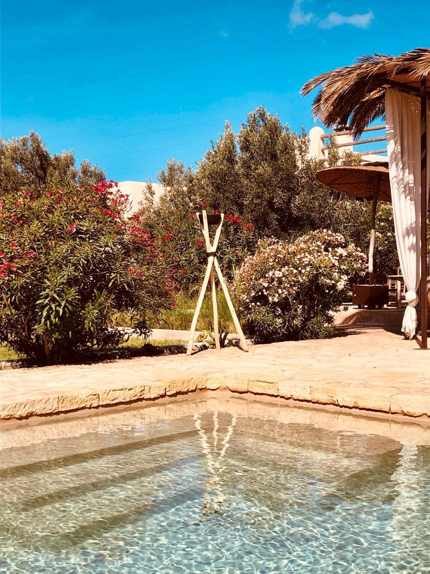 Dar Alya Essaouira Maison Et Table D'Hotes Al Ghar Kültér fotó