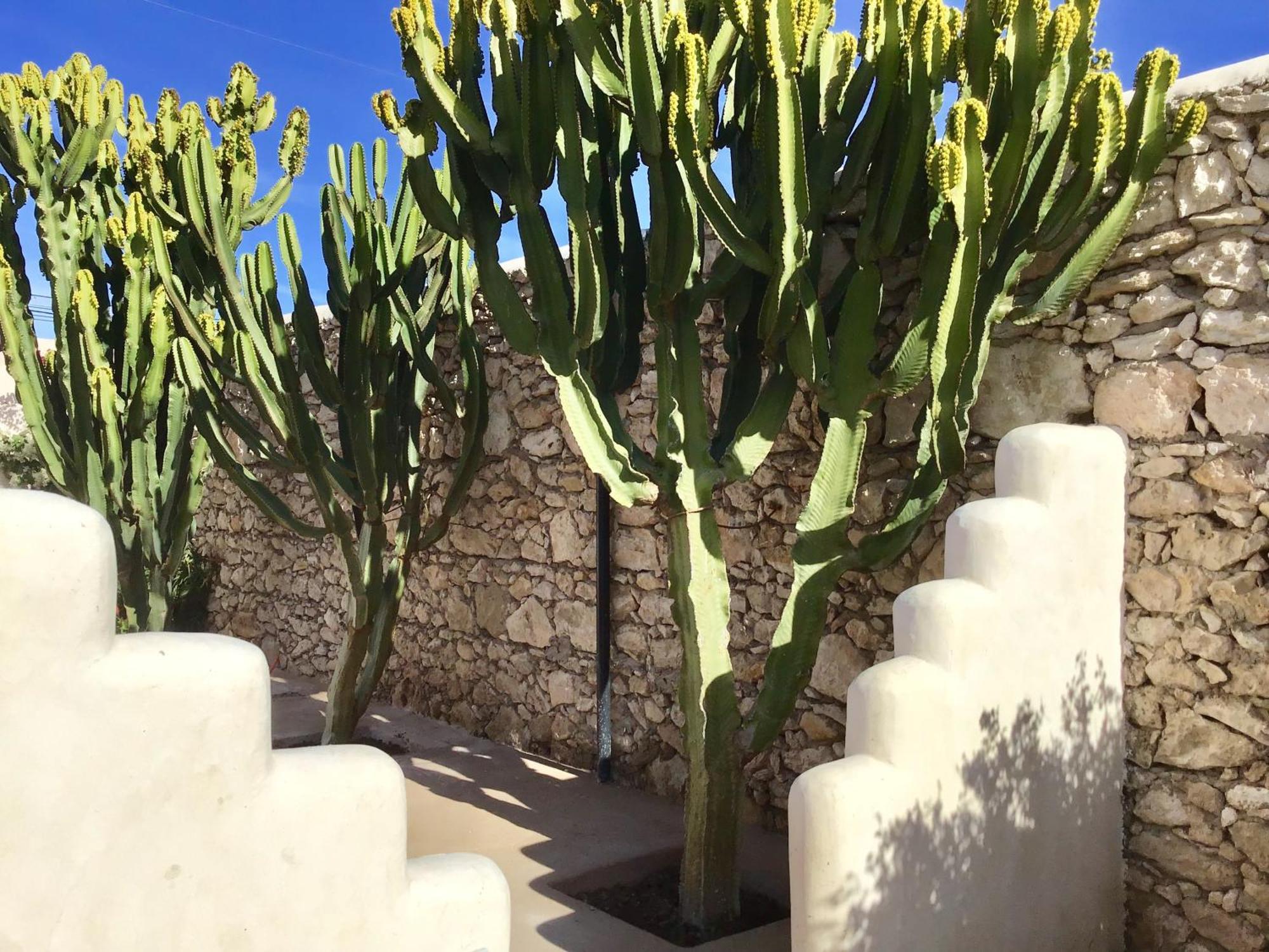 Dar Alya Essaouira Maison Et Table D'Hotes Al Ghar Kültér fotó
