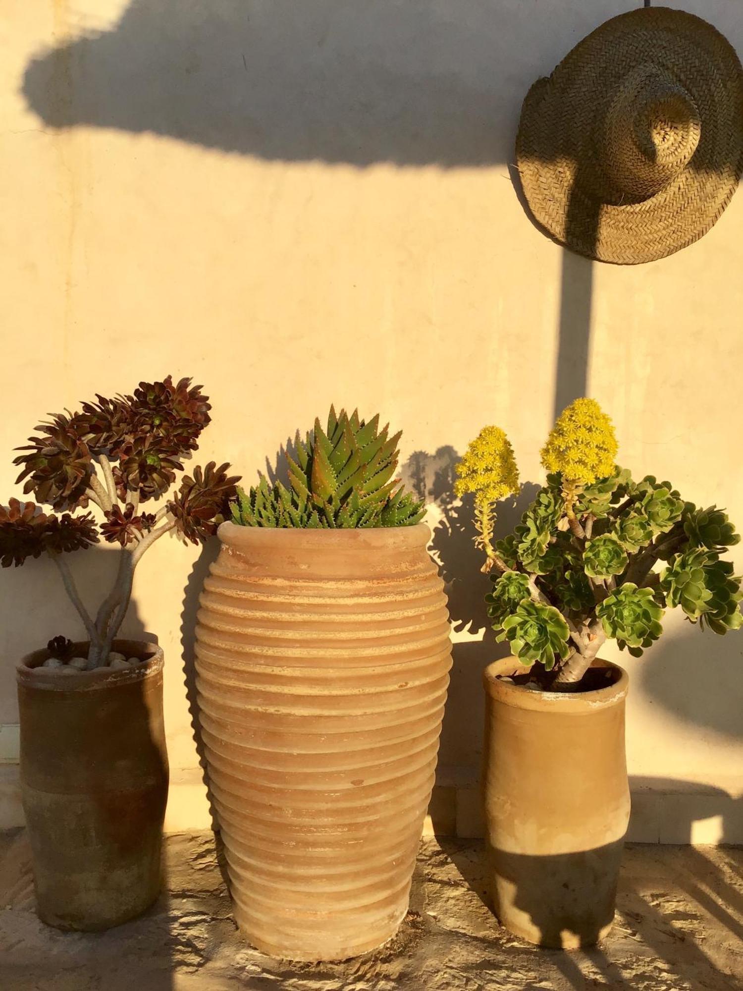 Dar Alya Essaouira Maison Et Table D'Hotes Al Ghar Kültér fotó